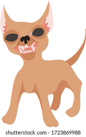 Very angry little dog. Vector image