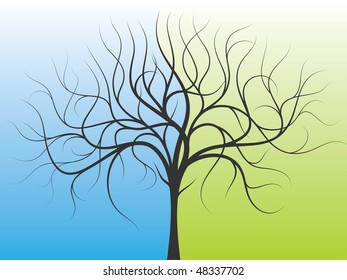 very beautiful background of the abstract tree