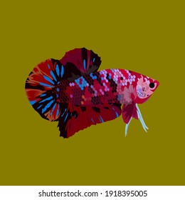 a very beautiful betta fish vector