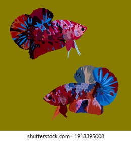un hermoso vector de peces betta