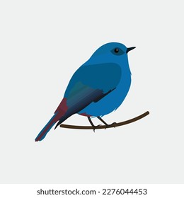 A very beautiful bird vector art
