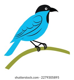 A very beautiful bird vector artwork