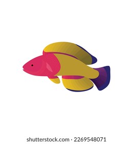A very beautiful colored fish vector artwork