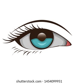 
a very beautiful eye design to look at