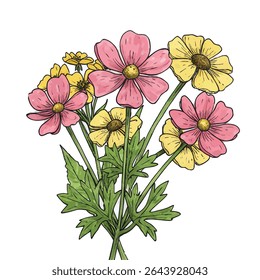Muito belas plantas e flores desenhadas à mão