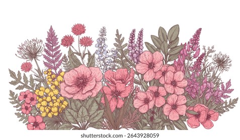 Muito belas plantas e flores desenhadas à mão
