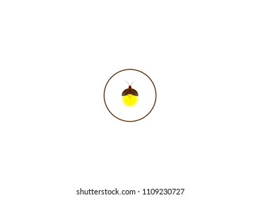 Very beautiful light insects.Insect beetle firefly. Vector set of eight simple cartoon drawings with different angles and elements.