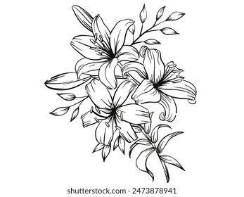 a very beautiful lily flower vector 