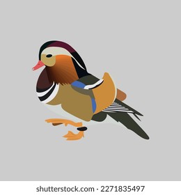 Una hermosa obra de arte vectorial de pato mandarín