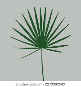 Very beautiful palm leaves vector artwork
