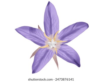 Very beautiful purple flower vector