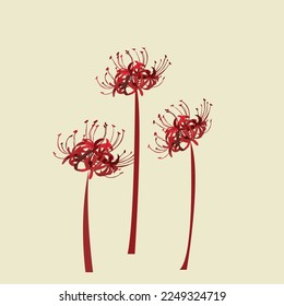 very beautiful red spider lily flower vector svg