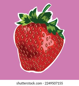 very beautiful and sweet strawberry vector illustration