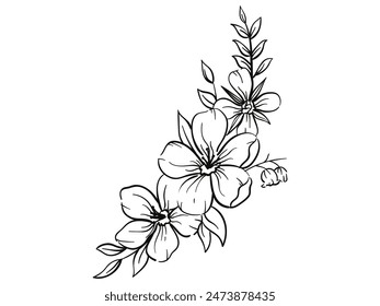 a very beautiful vector of cherry blossoms 