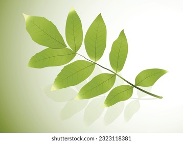 Sehr schöne Vektorgrafik von Baum- und Pflanzenblättern 
