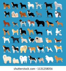 Very big set of dogs vector illustration