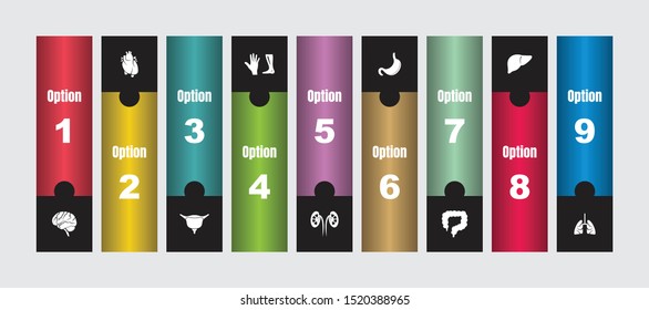 Very Creative & Useful 9 Options Human Organs or Body Parts Infographic Icons Set for Graphic Design, Web Design & App Design.