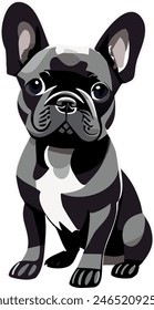 Very cute and adorable looking black and white frenchie dog sitting and looking emotional