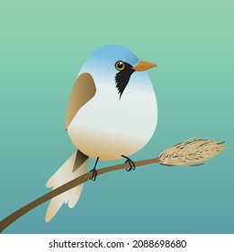 A very cute bearded reedling in the shape of an egg. Green blue gradient background. 