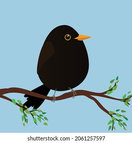 
A very cute blackbird in the shape of an egg. Blue background. The bird sits on a branch with green leafs.