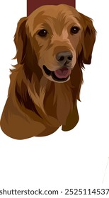 very cute brown dog photo with shoulder length photo