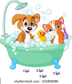 Very Cute  Dog And Cat Having A Soapy Bath