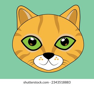 a very cute face of a cat