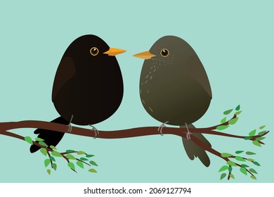 A very cute female and male blackbirds in the shape of an egg. Green-blue background. The birds are sitting on a branch with green leafs.
