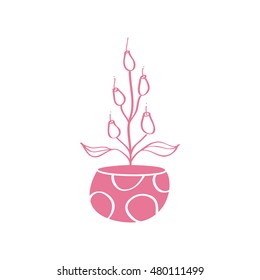 Very cute flower in a pot