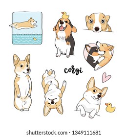 Very cute and funny corgis dog. Isolated pictures on white background 