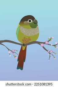 A very cute green cheek conure bird in the shape of an egg. Soft blue purple gradient background. The bird is perched on a branch with pink blossoms.
