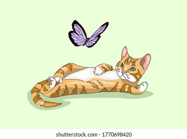 Very cute and lazy red cat is watching blue butterfly, luing on his back.