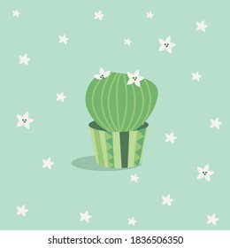Very cute and pleasant indoor plants - cacti 
