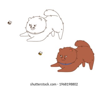 A very cute pomeranian hunts a bumblebee. Isolated vector image in eps format. There are two options in the document: in color and without filling. All layers with names.