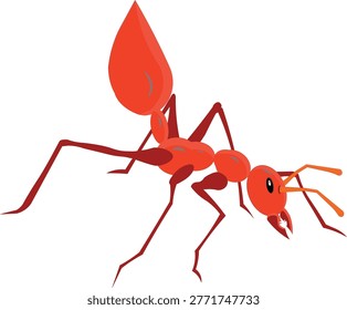 a very dangerous red ant