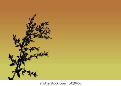 streaming de vectores vegetales muy detallado