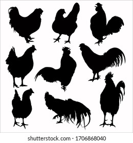 Very Detailed silhouettes of chicken