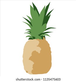 Very fresh pineapple
