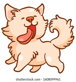 Very happy little dog running