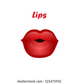 Very high quality original trendy vector illustration of kissing woman lips