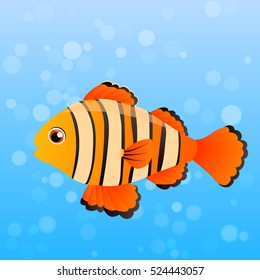 Very high quality original trendy vector illustration of Ocellaris clownfish, Acanthurus leucosternon .