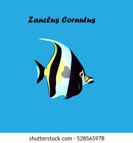 Very high quality original trendy vector illustration of Moorish Idol fish. Zanclus cornutus