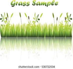 Very high quality original trendy illustration of grass with flowers