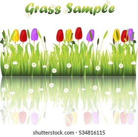 Very high quality original trendy illustration of grass with flowers, chamomile, tulip