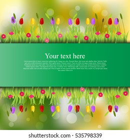 Very high quality original trendy banner with grass, flowers, chamomile, Tulip