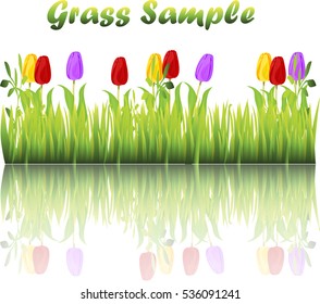 Very high quality original trendy illustration of grass with flowers, chamomile, tulip