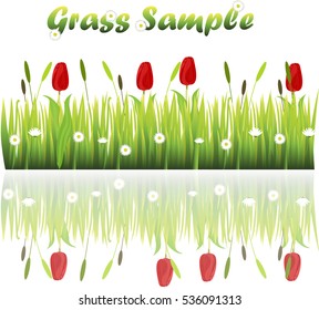Very high quality original trendy illustration of grass with flowers, chamomile, tulip