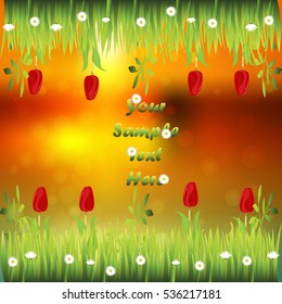 Very high quality original trendy illustration of grass with flowers, tulip frame for text or card on sunset background