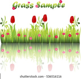 Very high quality original trendy illustration of grass with flowers, chamomile, tulip