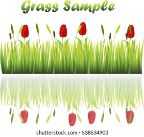 Very high quality original trendy illustration of grass with flowers, chamomile, tulip